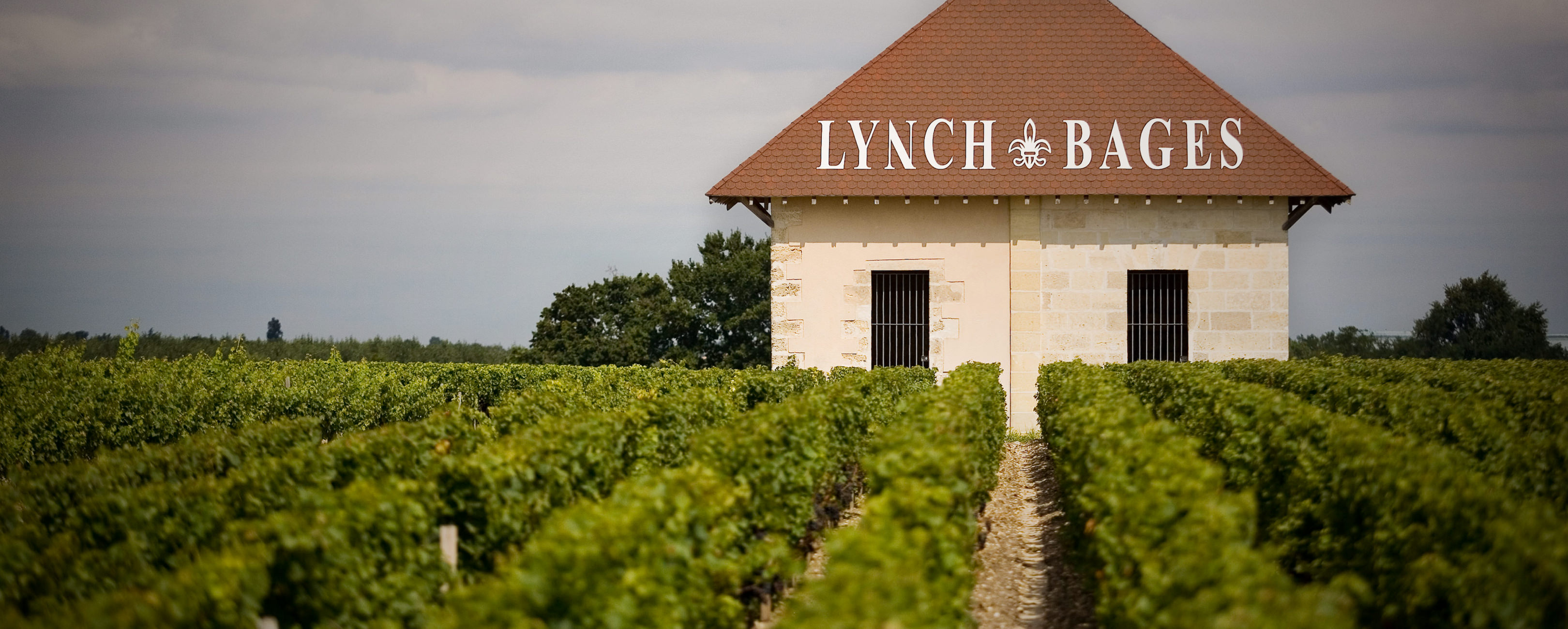 ch-teau-lynch-bages-conseil-des-vins-du-m-doc